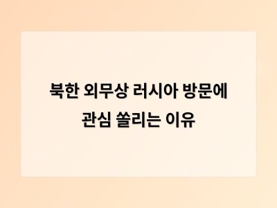 최선희 북한 외무상 러시아 방문 김정은 방러 일정 조율로 주목