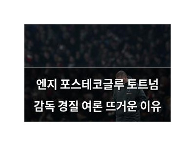 엔지 포스테코글루 토트넘 감독 경질 여론 뜨거운 이유