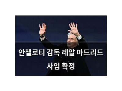 안첼로티 감독 레알 마드리드 사임 확정