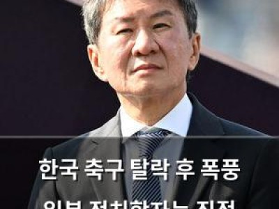 한국 축구 탈락 후 폭풍 일본 정치학자는 직접 민주주의 때문이라고 봄