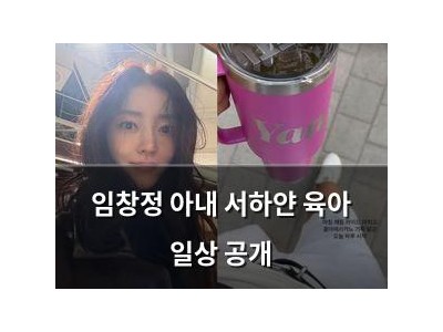 임창정 아내 서하얀 육아 일상 공개