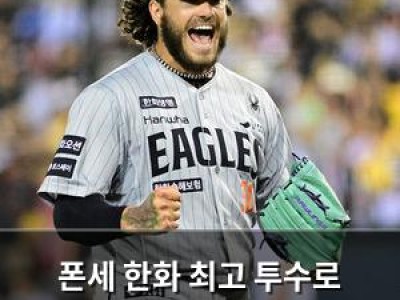 폰세 한화 최고 투수로 떠오르자 팬들 환호
