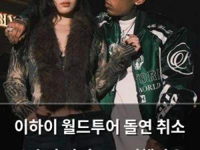 이하이 월드투어 돌연 취소 소속사 아티스트 귀책사유 아님 공식입장