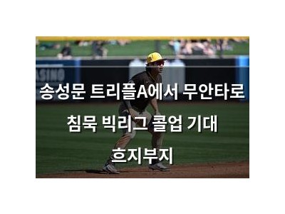 송성문 트리플A에서 무안타로 침묵 빅리그 콜업 기대 흐지부지