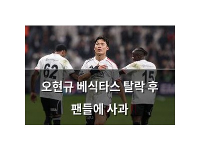 오현규 베식타스 탈락 후 팬들에 사과