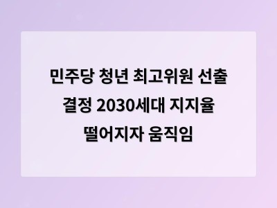 민주당 청년 최고위원 선출 청년 문제 해결의 시작이 될까