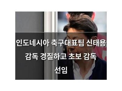 인도네시아 축구대표팀 신태용 감독 경질하고 초보 감독 선임