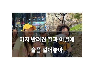미자 반려견 칠과 이별에 슬픔 털어놓아