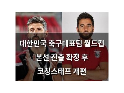 대한민국 축구대표팀 월드컵 본선 진출 확정 후 코칭스태프 개편