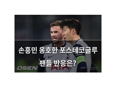 손흥민 옹호한 포스테코글루 팬들 반응은?
